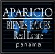 Aparicio Realtor