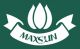 Maxsun Industrial Development Co.Ltd