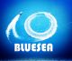 Bluesea Industrial Co.Ltd.