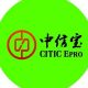 Shenzhen Citic Treasure Electronic