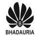 Bhadauia Infotech Private Limited