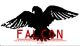 Falcon Services