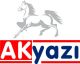 Akyazi School & Office Supplies Llc.