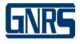 GNRS Technologies
