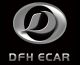 Dafenghe Electric Vehicles Co., Ltd