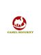 Shenzhen Camelsecurity Technology CO LTD