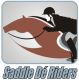 Saddle De Riders