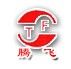 SHANDONG TENGFEI GYPSUM MACHINERY MANUFACTURING CO