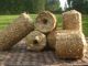 Straw Biomass Briquettes