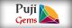Puji Gems (Pvt) Ltd
