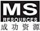 Millennium Success Resources