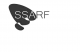 SSARF Corporation