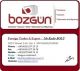 Bozgun Ltd