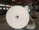 Shandong Longli Belts Co., Ltd.