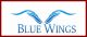 Blue Wings Oilfield Service