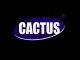 CACTUS PROFILES PVT. LTD.