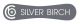 Silver Birch Co