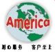America International Logistics(ShenZhen