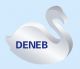 Shandong Deneb Co, Ltd