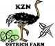 KZN OSTRICH FARM