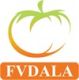 Fresh Vegetable DaLat Commercial Services Co., Ltd Fresh Vegetable DaLat Commercial Services Co., Ltd