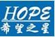 Shenzhen Hopestar Sci-Tech Co., LTD