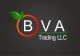 BVA LTD