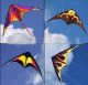 Weifang Hengda Kite Manufacture Co, .ltd