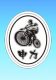 shenli bicycle parts co.ltd