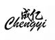 Guangzhou Chengyi Electrical Appliance C