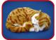HEZE HENGFANG LEATHER AND FUR CRAFTS CO., LTD