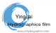 Shandong Yingcai PRT Tech Co., LTD