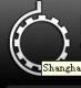 Shanghai Longji Construction Machinery Co., Ltd