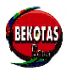 Bekotas Boya Sanayi Tic. Ltd.Sti