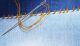 Shanghai Liuyu International Trade Co., Ltd. Shanghai Liuyu International Trade Co., Ltd.